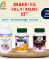 Diabetes Treatment Kit